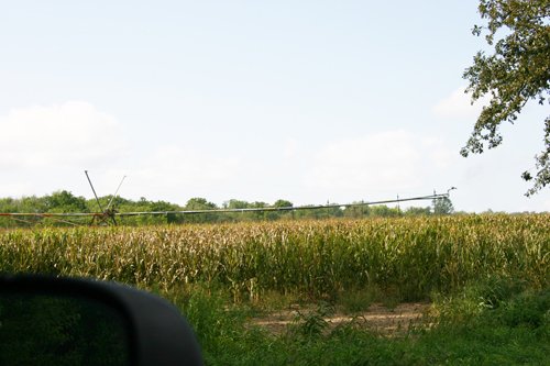 Property photo 135 - 21 Multiple Span Irrigation Pivots, Offered Individually or Combination - Irrigation Equipment Auction